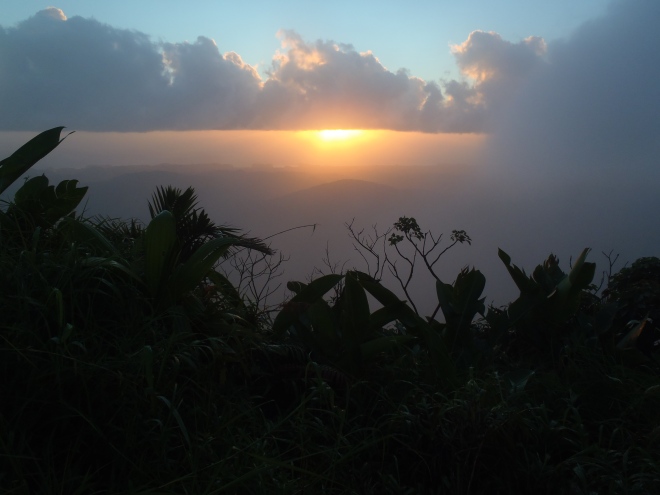 Sunrise from the summit of Morne (Mount) Gimie